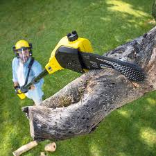 Best Artificial Turf Installation  in Blackhawk, CA